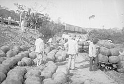 Carregamento histórico de borracha na Estrada de Ferro Madeira-Mamoré